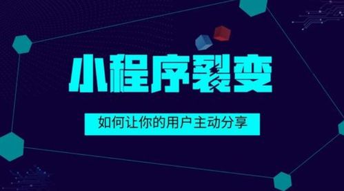 企業(yè)為何要選擇定制化小程序開發(fā)？舒馨網(wǎng)絡(luò)為您解密這背后價(jià)值